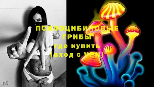 прущий лед Алексин