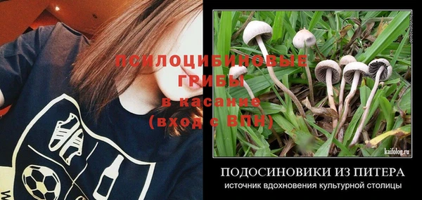 бутират Алзамай