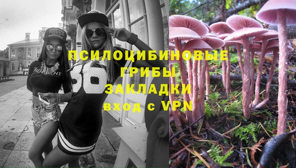 прущий лед Алексин