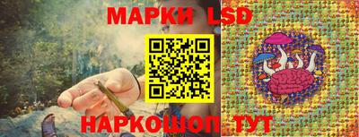 шишки Краснознаменск