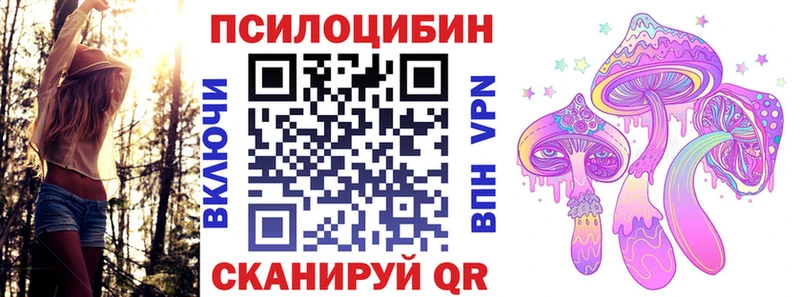 Галлюциногенные грибы Psilocybine cubensis  как найти   Дмитров 